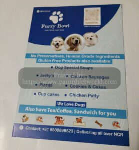 Dog food shop flyers printing