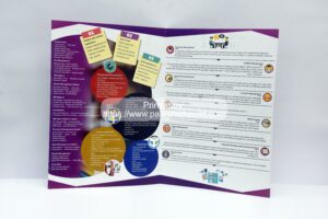 Exclusive Catalog printing for Software company